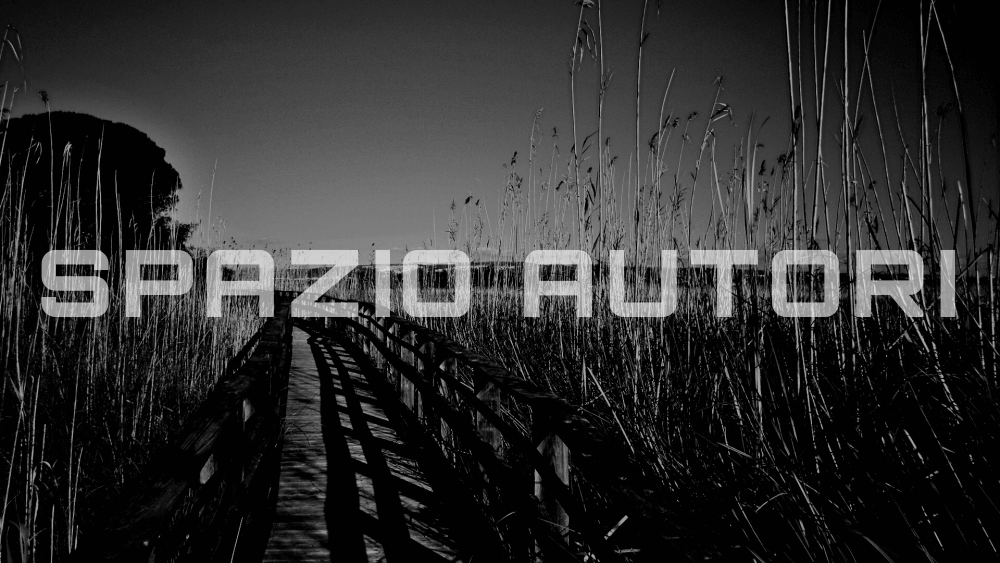 Spazio autori